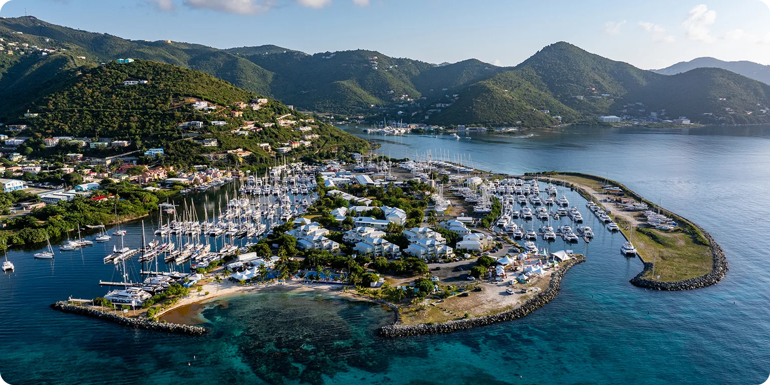 How to Search the BVI Company Register in 2026 (Step-by-Step Guide)
