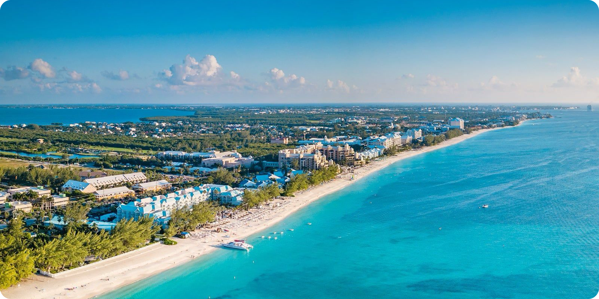 Cayman Islands Company Search: The Complete 2026 Guide to the General Registry