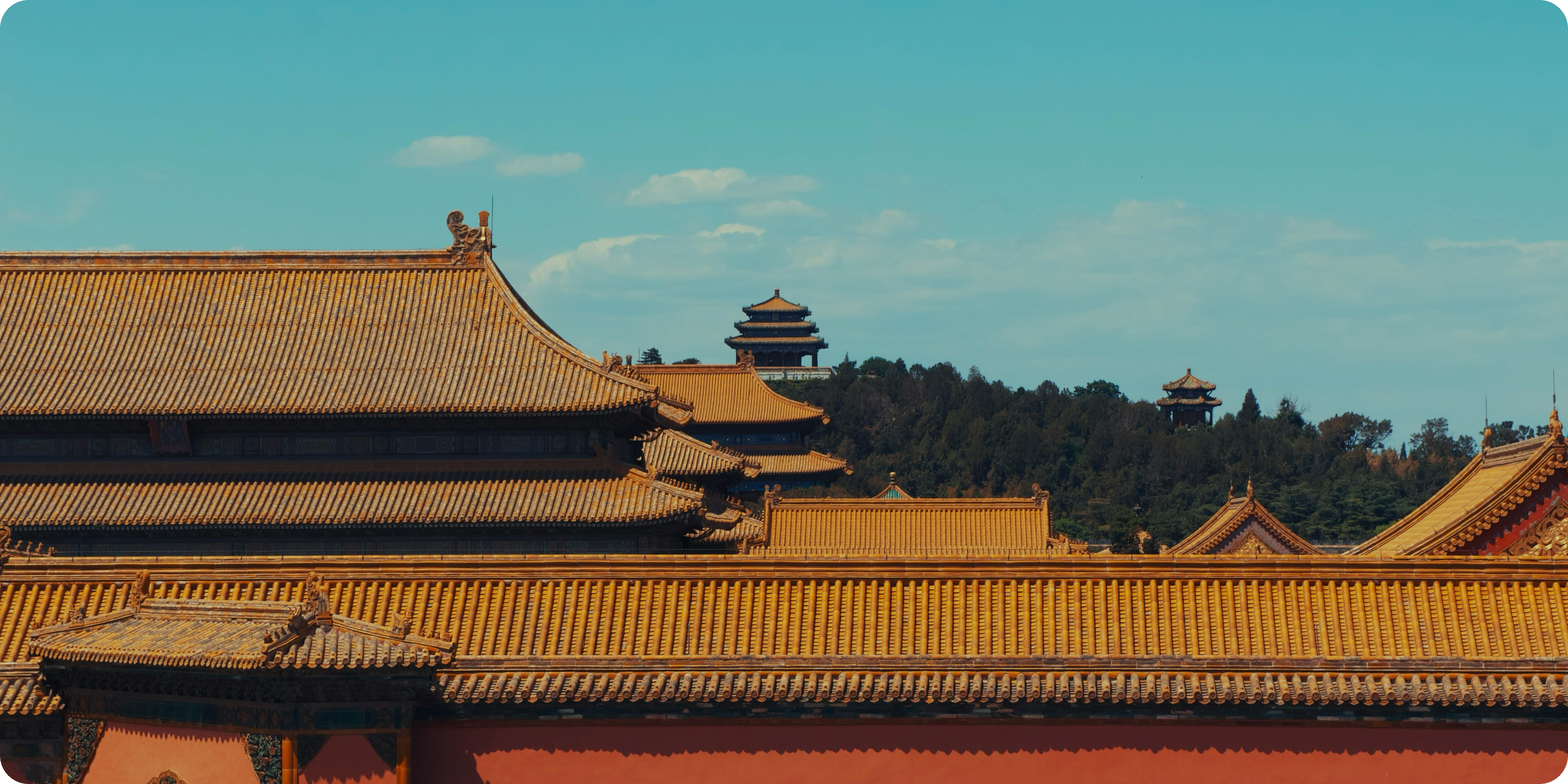 China Business License Check: How to Spot a Fake Chinese Business License in 5 Minutes
