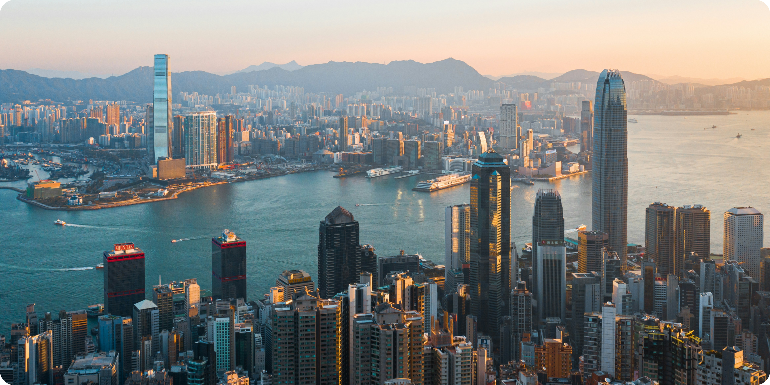 Hong Kong Business Registration Certificate (BRC): How to Check Validity