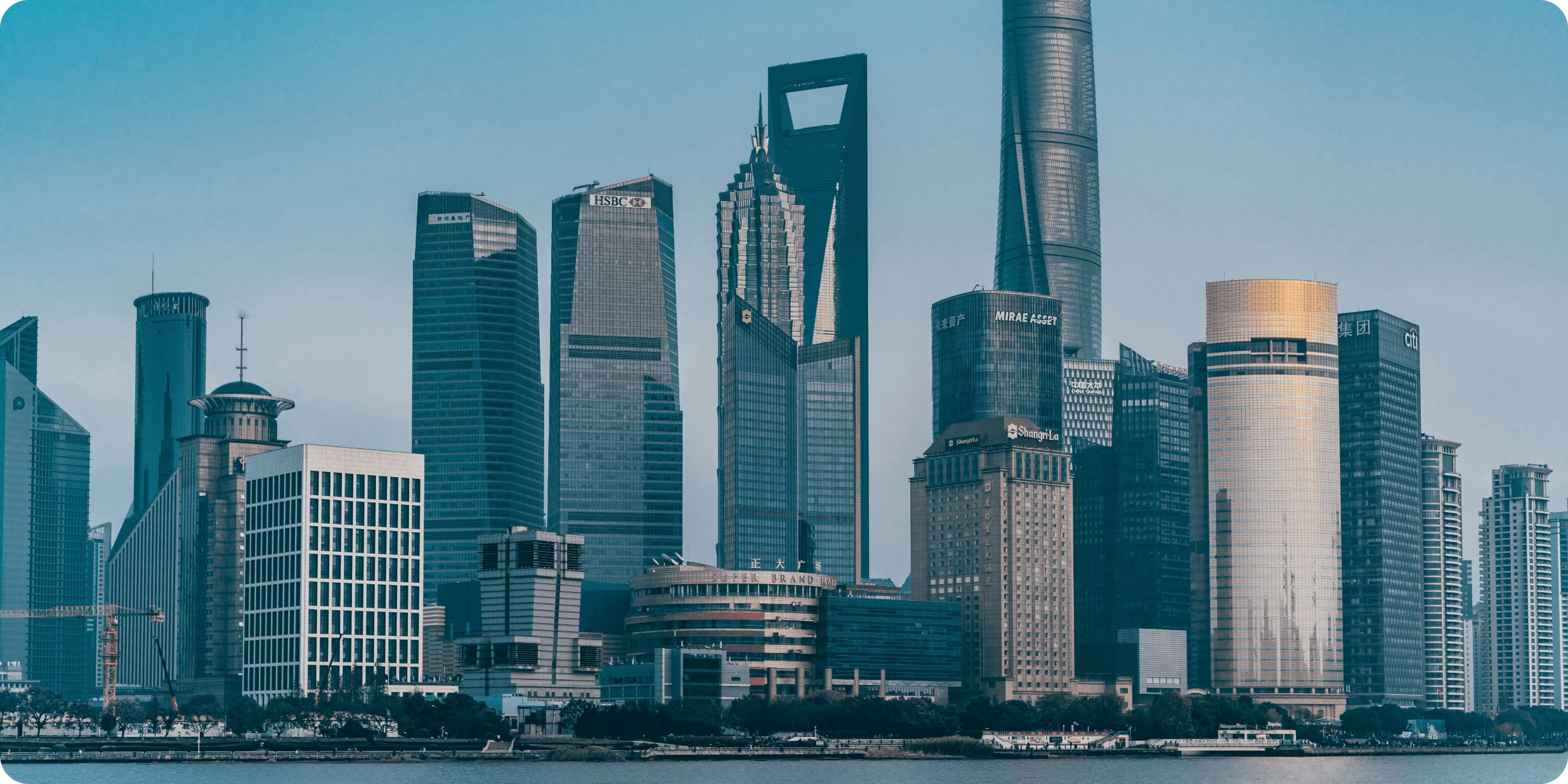 China Business License Verification: A Field-by-Field Checklist